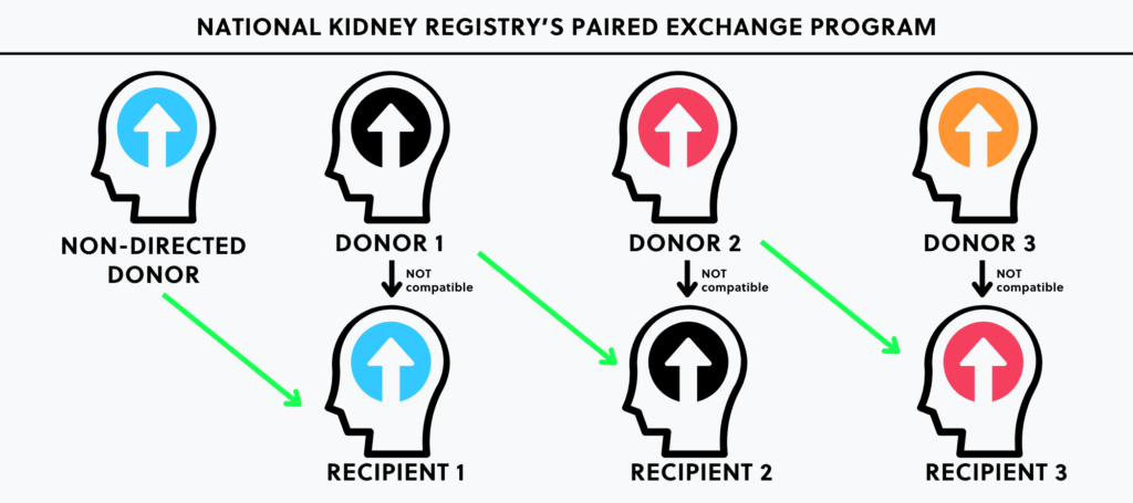Infographic portraying the national kidney registry's paired exchange program