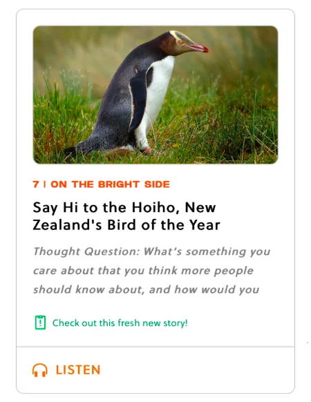 Bird o